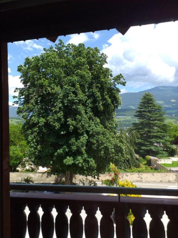Hotel Villa Mayr Rooms & Suites Bressanone Exterior photo